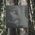 Set of Four Laser‑Engraved Slate Coasters: “Side‑Gaze Wolf”