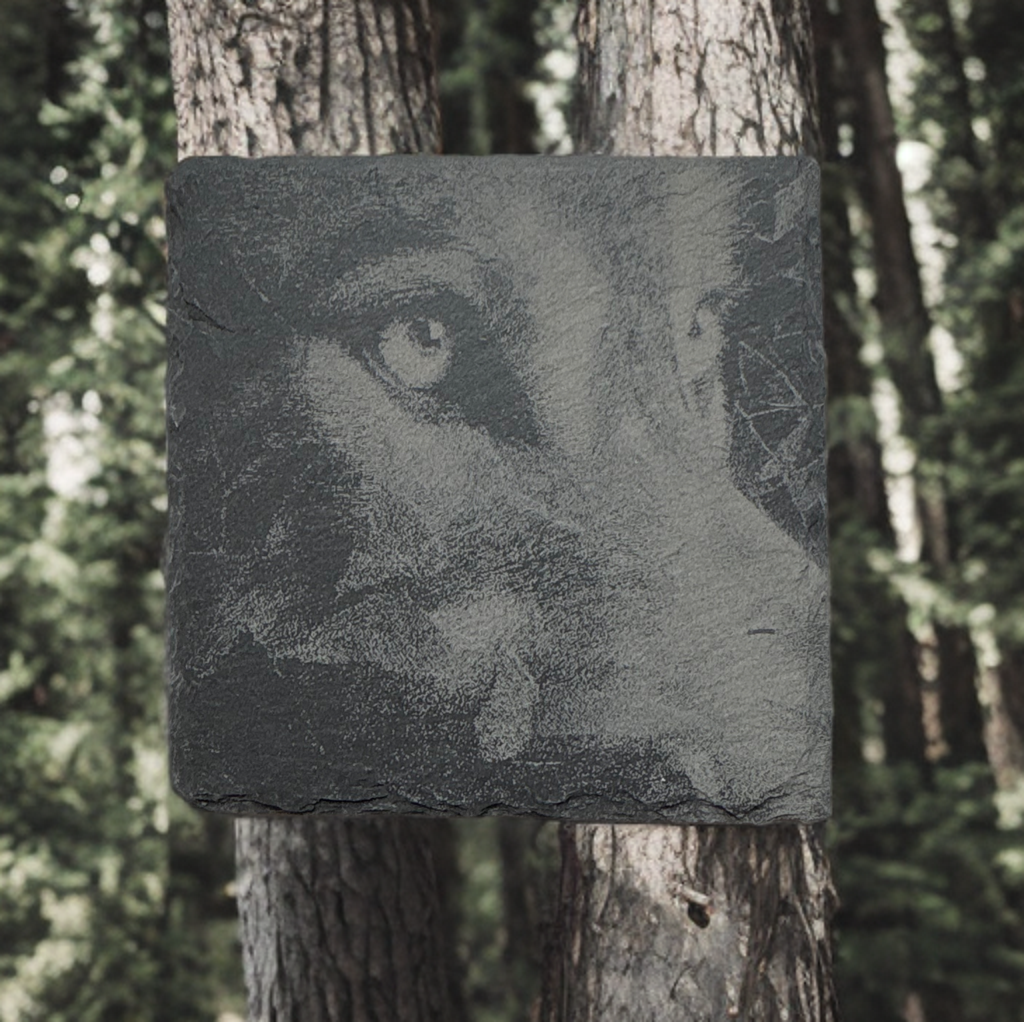 Set of Four Laser‑Engraved Slate Coasters: “Side‑Gaze Wolf”