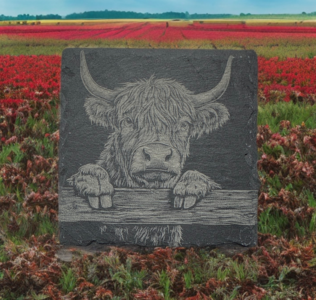 Laser‑Engraved Slate Coaster Set of Four Highland Cow Peering Over a Fence