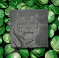 Laser‑Engraved Slate Coaster Set of Four Tiger Resting in Peaceful Stillness