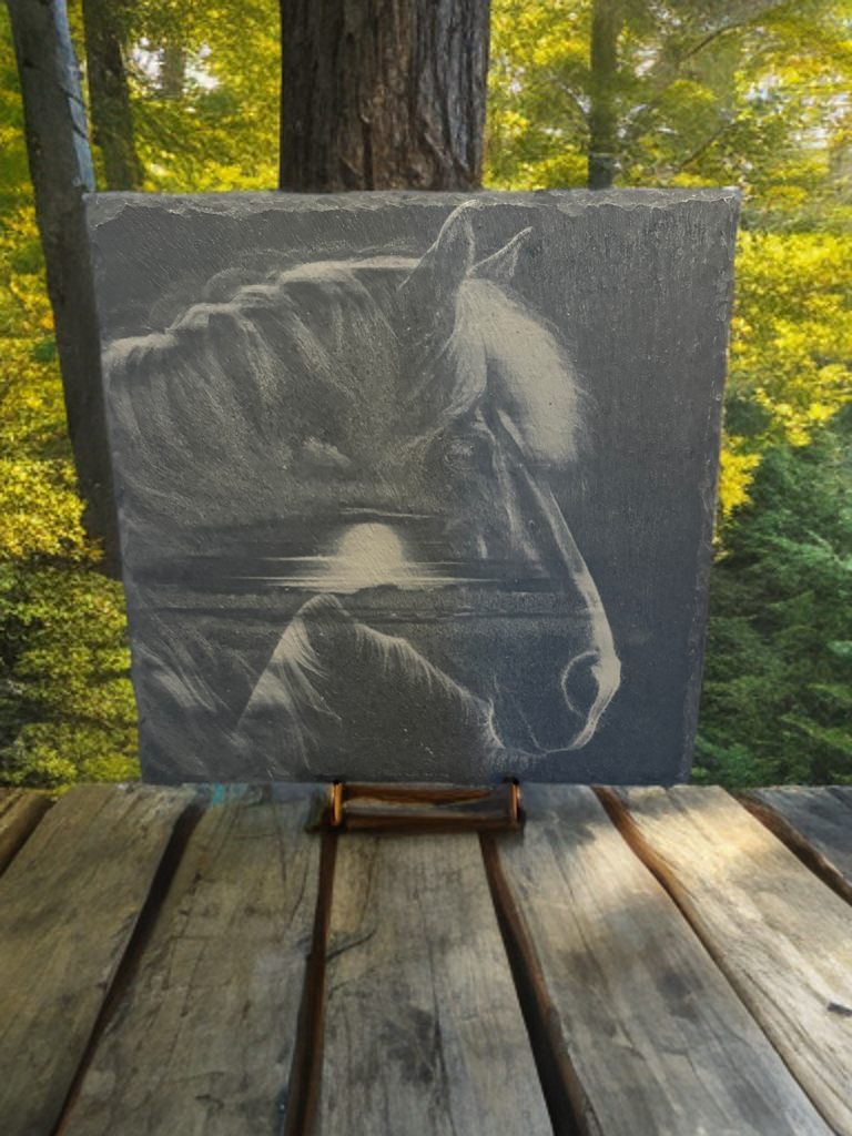 Silhouette of the Setting Sun